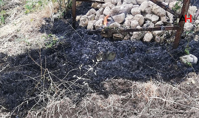 Kırkağaç'ta İlginç Olay: Karganın Düşmesi Yangına Sebep Oldu