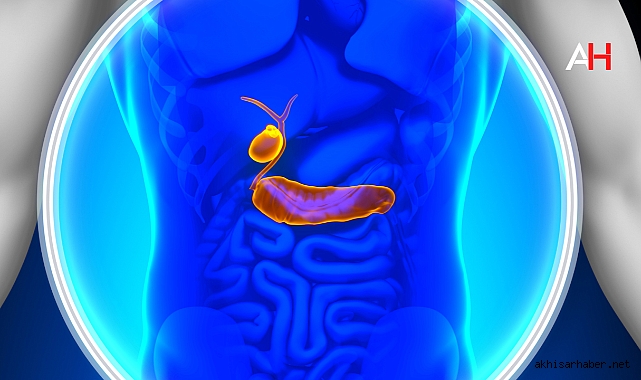 Pankreas Nakil Edilir mi?