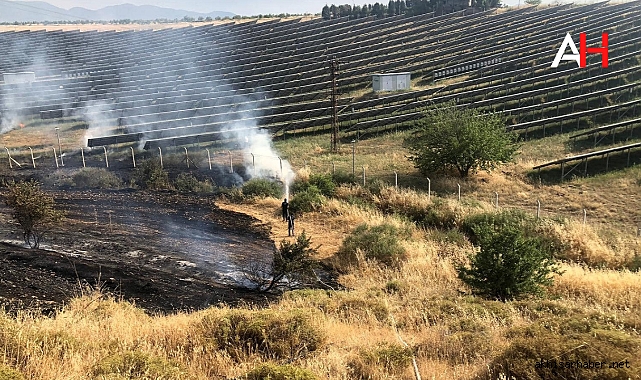 Turgutlu'da Arazi Yangını: Ekipler Yoğun Mücadele ile Kontrol Altına Aldı