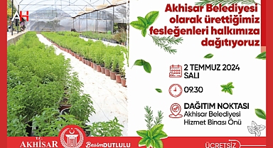 Akhisar Belediyesi'nden Ücretsiz Fesleğen Dağıtımı
