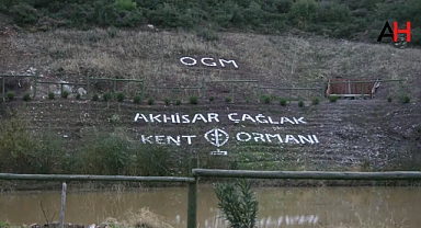 Akhisar Büyük Bir Projeye Kavuşuyor: Kent Ormanı Hayata Geçiyor