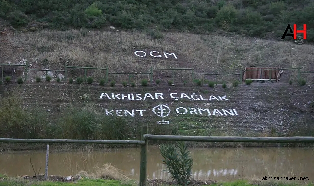 Akhisar Büyük Bir Projeye Kavuşuyor: Kent Ormanı Hayata Geçiyor