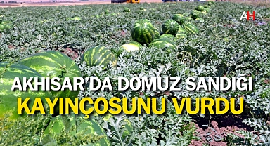 Akhisar'da Karpuz Tarlasında Acı Kaza: Domuz Sanarak Kayınçocusunu Vurdu