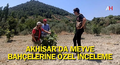 Akhisar'da Meyve Bahçelerine Özel İnceleme: Meyve Masası Ekipleri Sahada