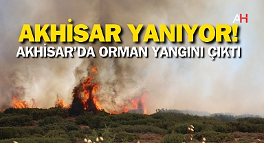 Akhisar'da Orman Yangını Çıktı