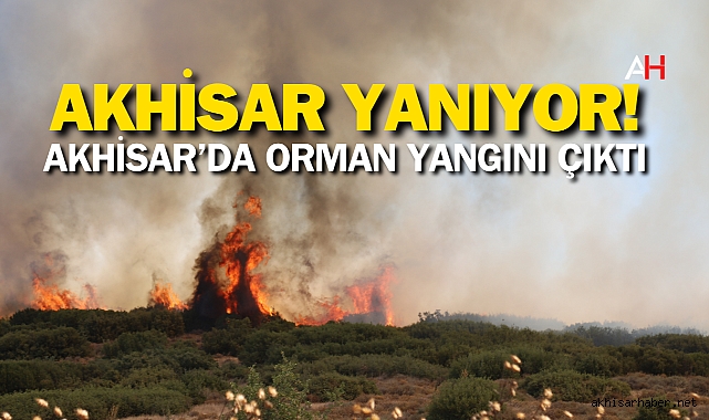 Akhisar'da Orman Yangını Çıktı