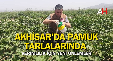 Akhisar'da Pamuk Tarlalarında Verimlilik İçin Yeni Önlemler