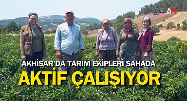 Akhisar'da Tarım Ekipleri Sahada Aktif Çalışıyor