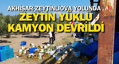 Akhisar'da zeytin yüklü kamyon devrildi: 2 Yaralı