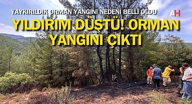 Akhisar Yayakırıldık Orman Yangını yıldırım düşmesi sonucu çıktı