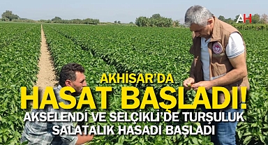 Akselendi ve Selçikli’de Turşuluk Salatalık Hasadı Başladı