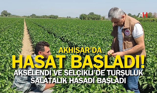 Akselendi ve Selçikli’de Turşuluk Salatalık Hasadı Başladı