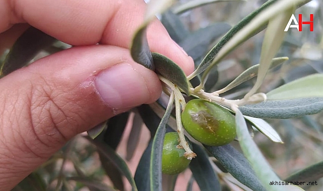 Evkafteke Mahallesi'nde Dolu Yağışı Hasar Tespiti Yapıldı
