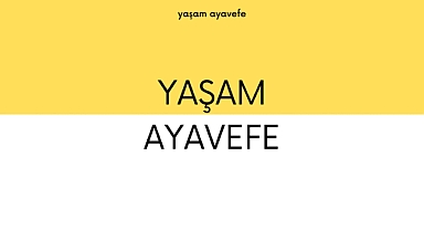 İnovatif Perakende Çözümleri: Yaşam Ayavefe'nin Ticaret Projeleri