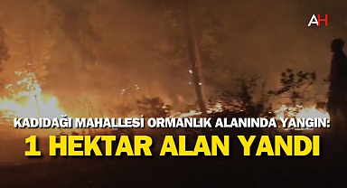 Kadıdağı Mahallesi Ormanlık Alanında Yangın: 1 Hektar Alan Yandı