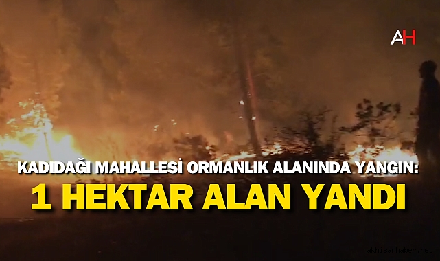 Kadıdağı Mahallesi Ormanlık Alanında Yangın: 1 Hektar Alan Yandı