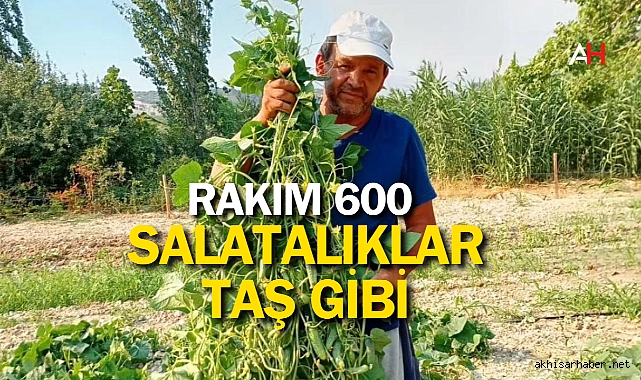 Rakım 600: Salatalıklar Taş Gibi