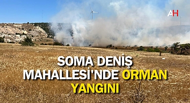 Soma Deniş Mahallesi'nde Orman Yangını