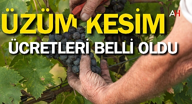 Üzüm İşçisi Ücretleri Belirlendi