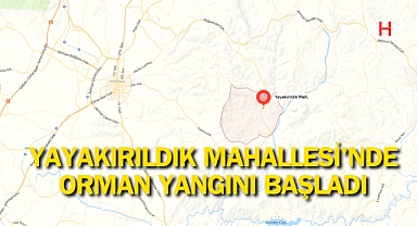Yayakırıldık Mahallesi'nde Orman Yangını Başladı