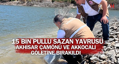 15 Bin Pullu Sazan Yavrusu Akhisar Çamönü ve Akkocalı Göletine Bırakıldı