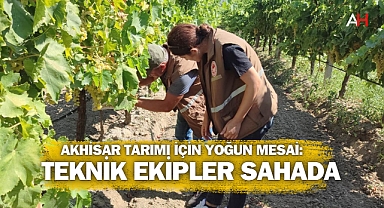 Akhisar Tarımı İçin Yoğun Mesai: Teknik Ekipler Sahada
