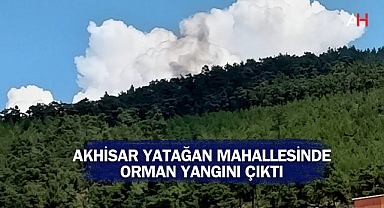 Akhisar Yatağan Mahallesinde Orman Yangını Çıktı