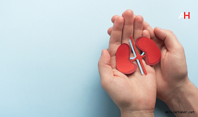 Böbrek Çürümesi Belirtileri Nelerdir?