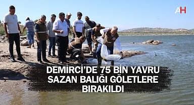 Demirci’de 75 Bin Yavru Sazan Balığı Göletlere Bırakıldı