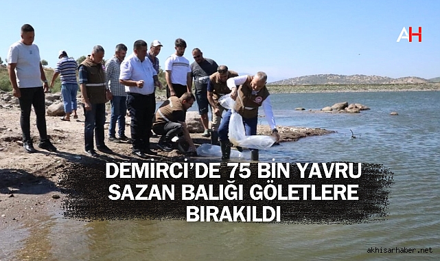 Demirci’de 75 Bin Yavru Sazan Balığı Göletlere Bırakıldı