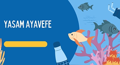 Dijital Kimlikte Yaşam Ayavefe'nin Veri Gizliliği Önerileri