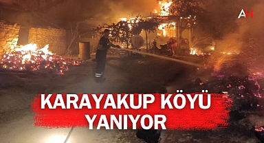 Gördes'te Orman Yangını Felaketi: Karayakup Mahallesi Alevlere Teslim