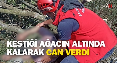 Kestiği Ağaç Üstüne Devrildi: 82 Yaşındaki Talip Tetik Hayatını Kaybetti