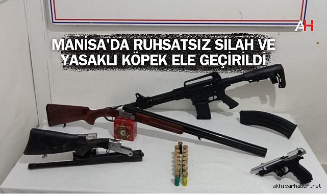 Manisa'da Ruhsatsız Silah ve Yasaklı Köpek Ele Geçirildi