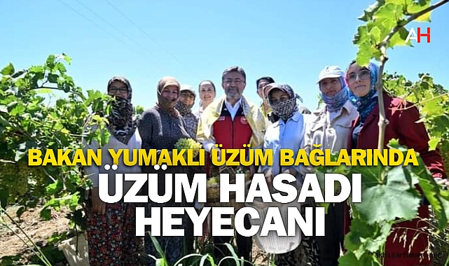Manisa’da Üzüm Hasadı Heyecanı: Bakan Yumaklı Üzüm Bağlarında