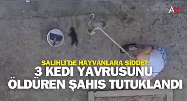 Salihli'de Hayvanlara Şiddet: 3 Kedi Yavrusunu Öldüren Şahıs Tutuklandı