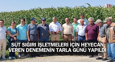 Süt Sığırı İşletmeleri İçin Heyecan Veren Denemenin Tarla Günü Yapıldı