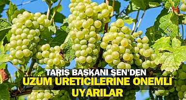 TARİŞ Başkanı Şen'den Üzüm Üreticilerine Önemli Uyarılar