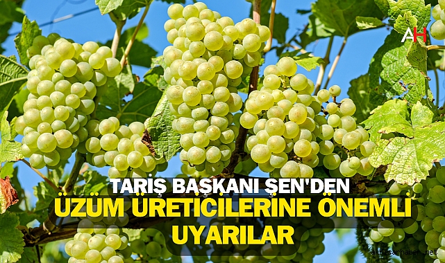 TARİŞ Başkanı Şen'den Üzüm Üreticilerine Önemli Uyarılar