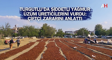 Turgutlu’da Şiddetli Yağmur Üzüm Üreticilerini Vurdu: Çiftçi Zararını Anlattı