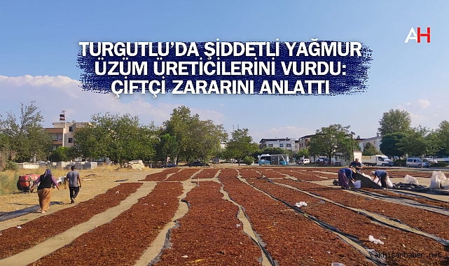 Turgutlu’da Şiddetli Yağmur Üzüm Üreticilerini Vurdu: Çiftçi Zararını Anlattı