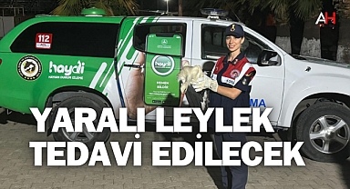 Yaralı Leylek Tedavi Edilmek Üzere Doğa Koruma ve Milli Parklar Müdürlüğüne Teslim Edildi