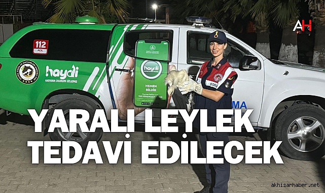 Yaralı Leylek Tedavi Edilmek Üzere Doğa Koruma ve Milli Parklar Müdürlüğüne Teslim Edildi