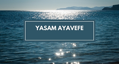 Yaşam Ayavefe'nin Yüzer Şehir Projeleri: Denizde Sürdürülebilir Yaşam