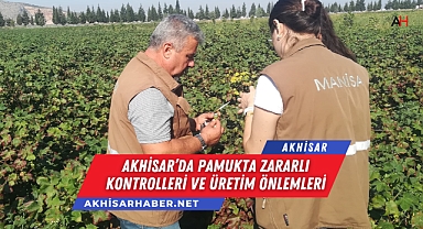 Akhisar'da Pamukta Zararlı Kontrolleri ve Üretim Önlemleri