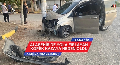 Alaşehir'de Yola Fırlayan Köpek Kazaya Neden Oldu