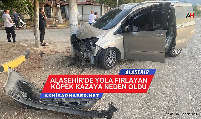 Alaşehir'de Yola Fırlayan Köpek Kazaya Neden Oldu