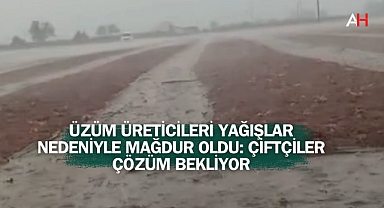 Üzüm Üreticileri Yağışlar Nedeniyle Mağdur Oldu: Çiftçiler Çözüm Bekliyor