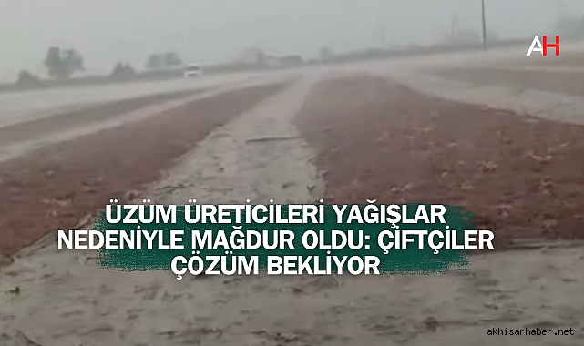Üzüm Üreticileri Yağışlar Nedeniyle Mağdur Oldu: Çiftçiler Çözüm Bekliyor
