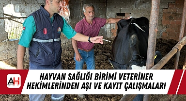 Hayvan Sağlığı Birimi Veteriner Hekimlerinden Aşı ve Kayıt Çalışmaları